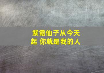 紫霞仙子从今天起 你就是我的人